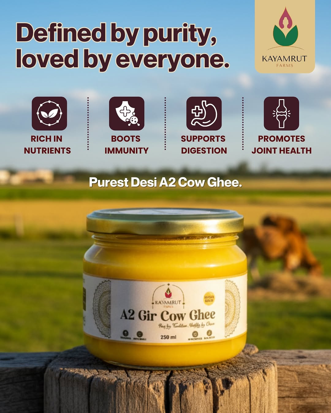 584622382_17860401285540279_5751202326601565425_n